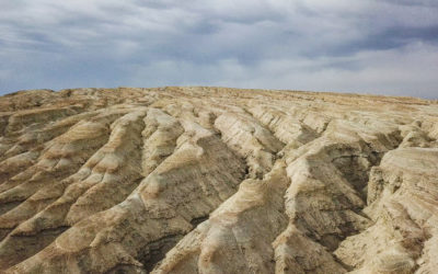 LA STEPPE ET LES RUINES