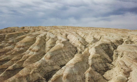 LA STEPPE ET LES RUINES